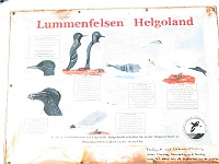 016 : Helgoland, jpg