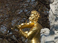 082  Aber hier steht das goldene Johann-Strauß-Denkmal.
