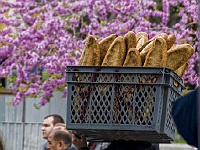 007 DSC2439 Brot  Szene vor der Hagia Sofia.